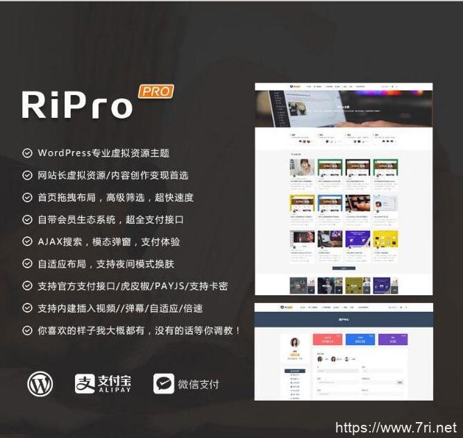 WP+RiPro主题破解版