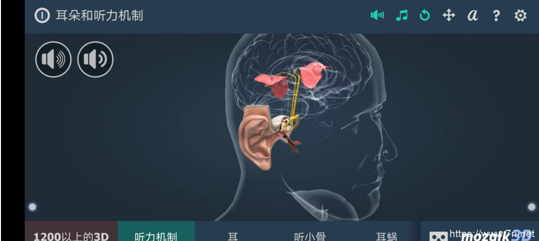 耳朵和听力机制互动教育3Dapp耳科的福利