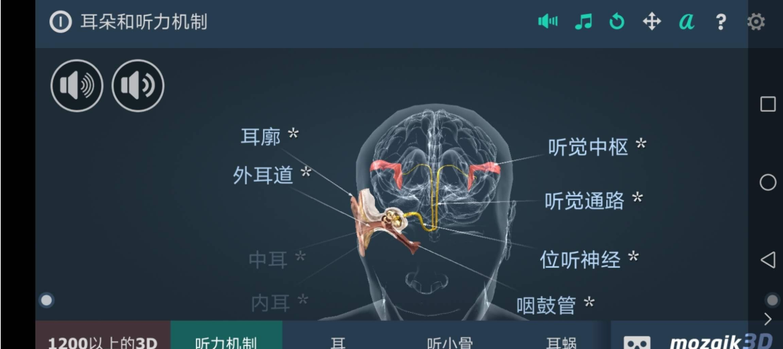 耳朵和听力机制互动教育3Dapp耳科的福利