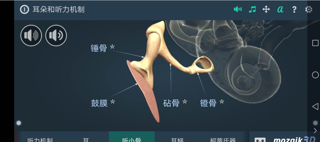 耳朵和听力机制互动教育3Dapp耳科的福利