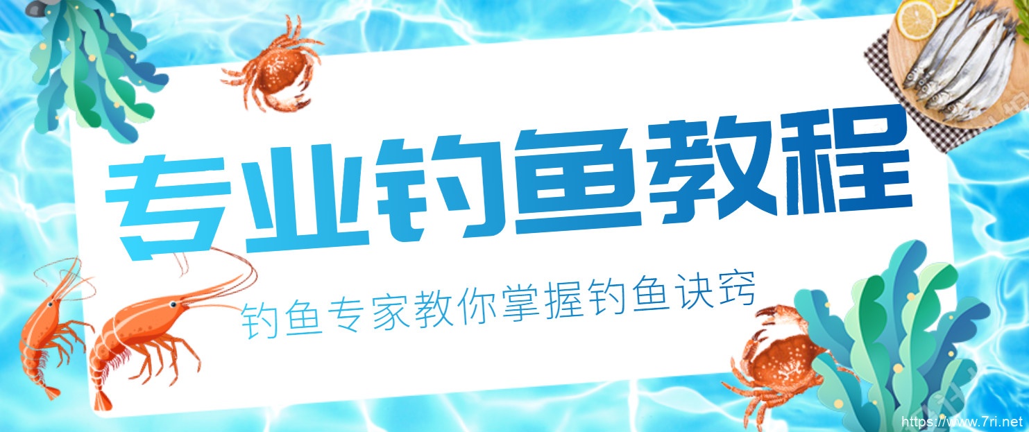 钓鱼视频技巧教程实战大全