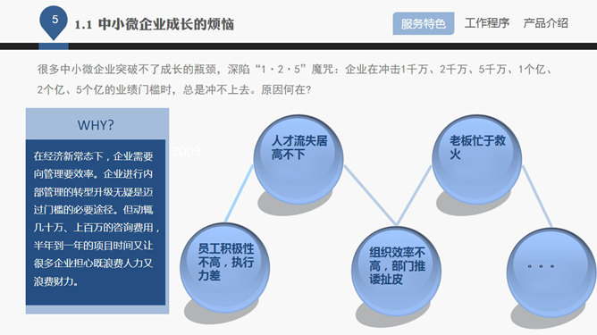 企业管理咨询公司介绍PPT课件