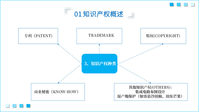 知识产权知识培训PPT模板