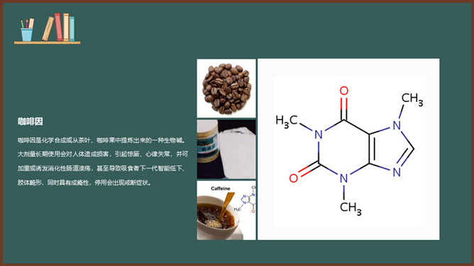 珍爱生命禁毒教育班会PPT模板