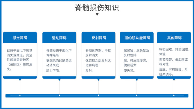 骨髓损伤治疗护理查房PPT模板