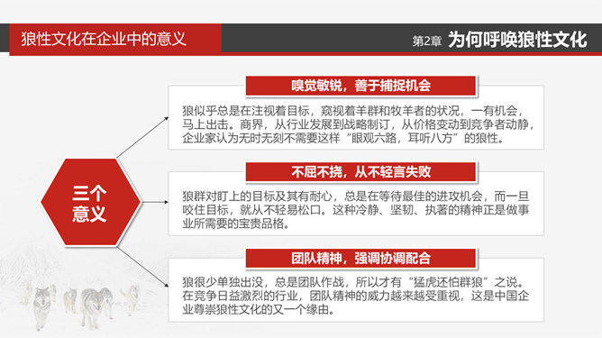 企业文化狼性精神培训PPT模板