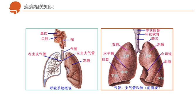 呼吸衰竭护理治疗病例分析PPT模板