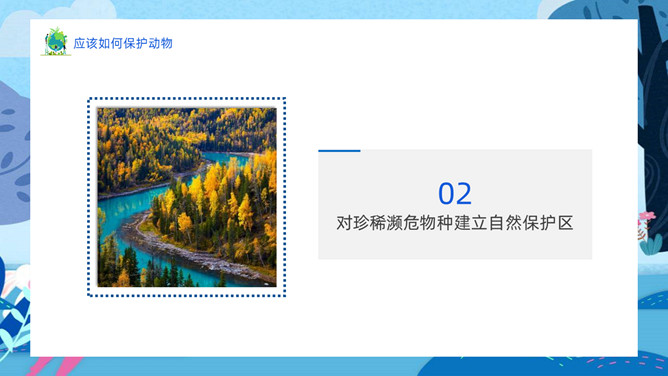 生物多样性保护PPT模板